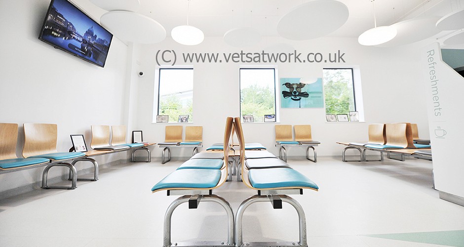 Veterinary Surgery Waiting Room Photography