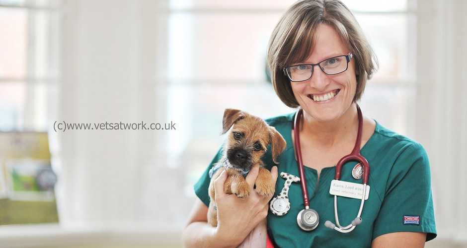 Veterinary Nurse Photography with Puppy